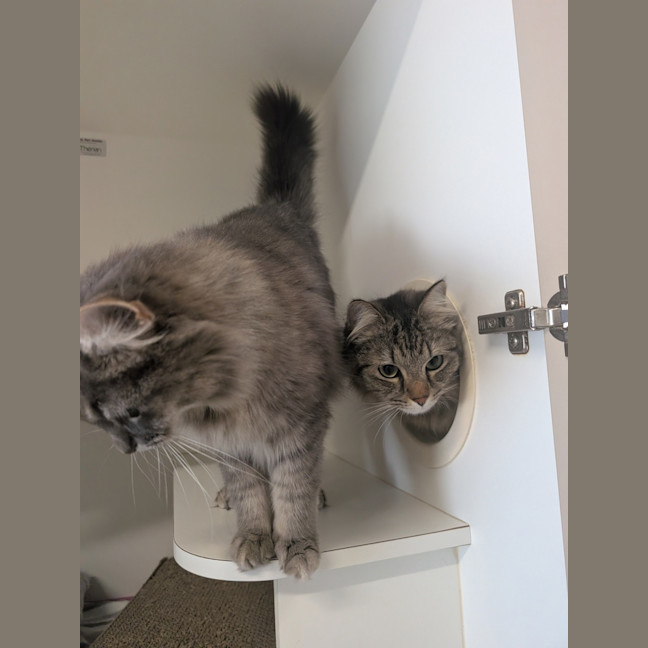 Photo of Bonny & Clyde