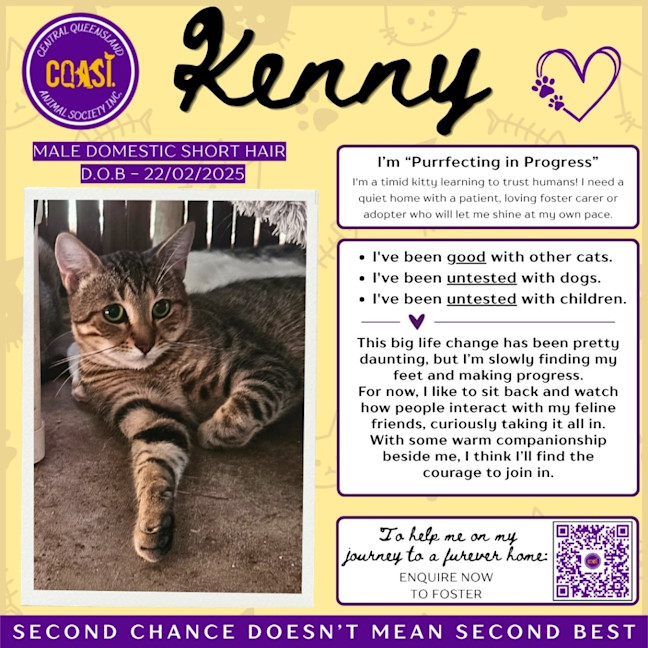 Photo of Kenny (Wtg)