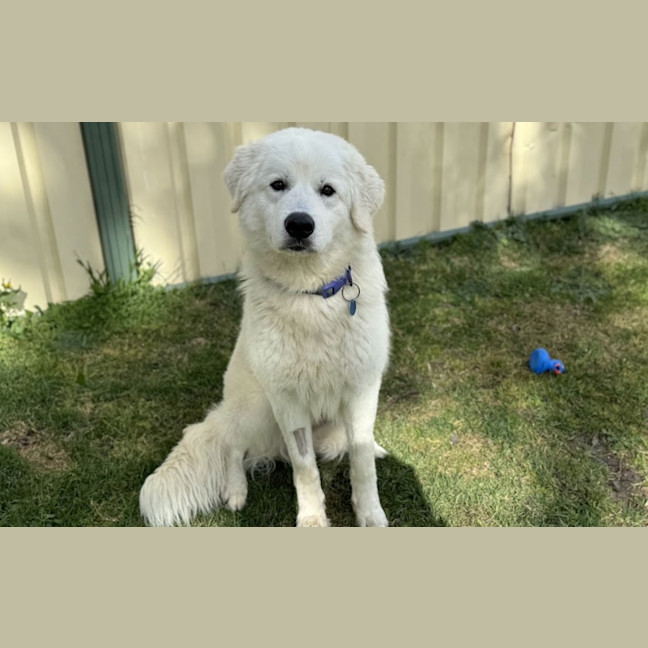 Photo of Murphy