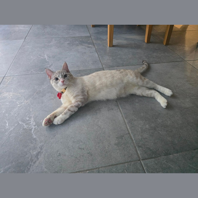 Photo of Herbie