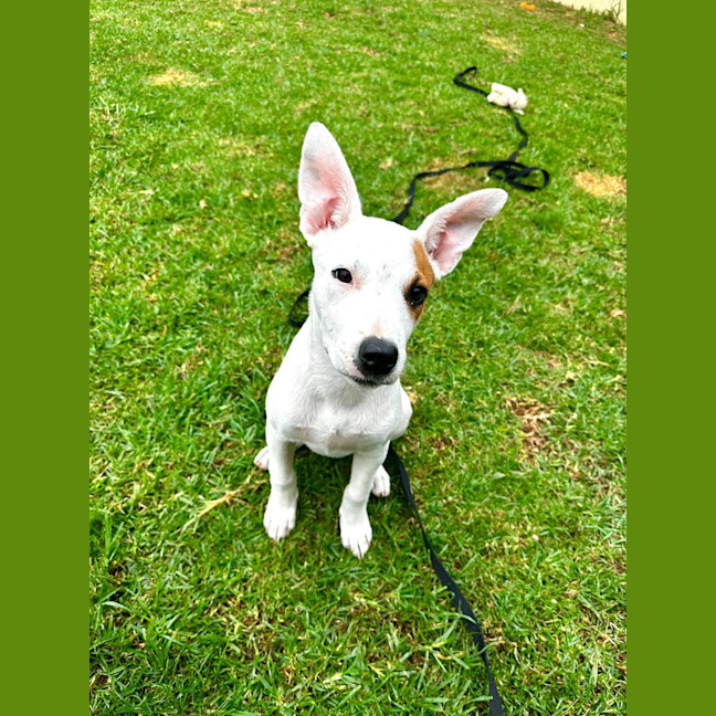 Photo of Molly