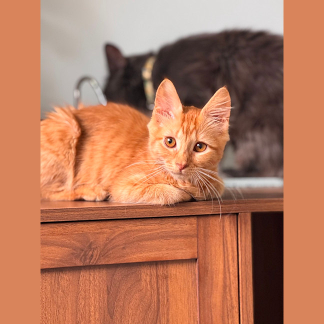 Photo of Zeus