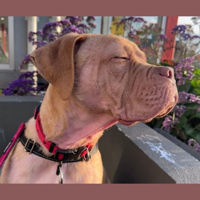 Photo of Bruce Bogtrotter