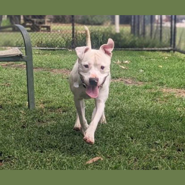 Photo of Ghostie Wostie