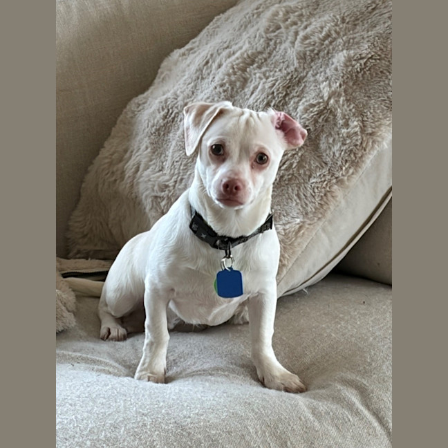 Photo of Woody