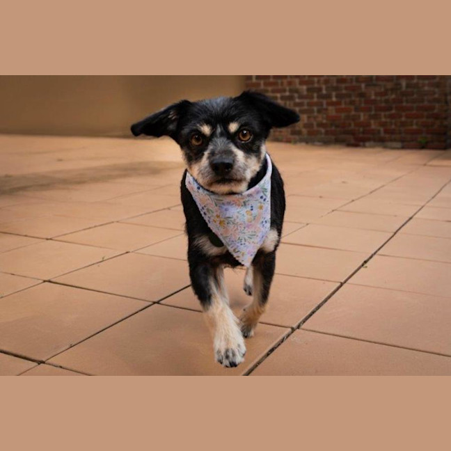 Photo of Jedda O'cleary