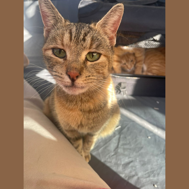 Photo of Lily & Charlie