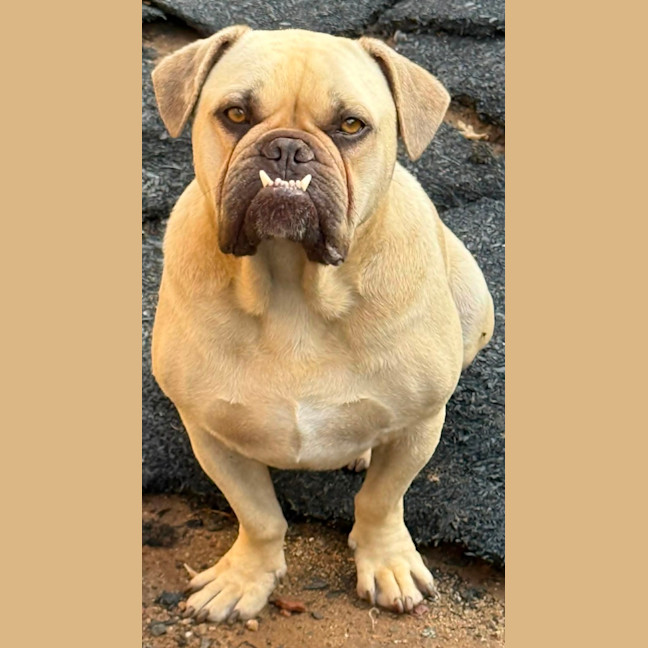 Photo of Milko