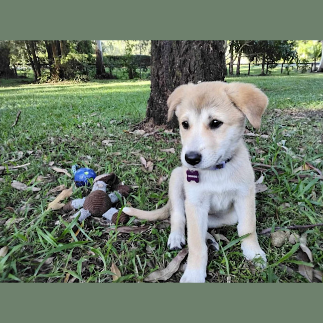 Photo of Jazz
