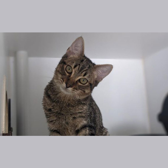 Photo of Willburt 