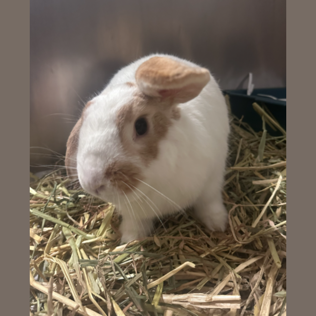 Photo of Lou Lou