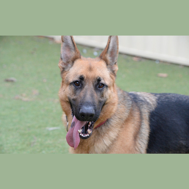 Photo of Agatha