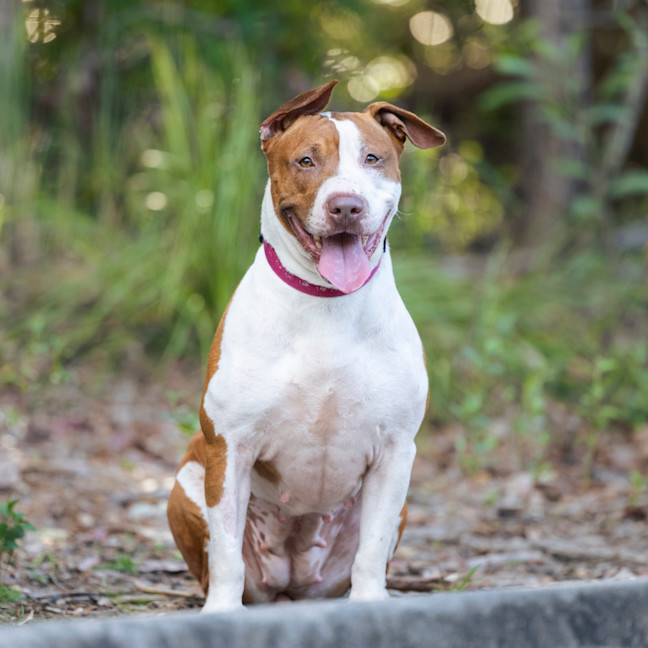 Photo of Rockin' Roxy