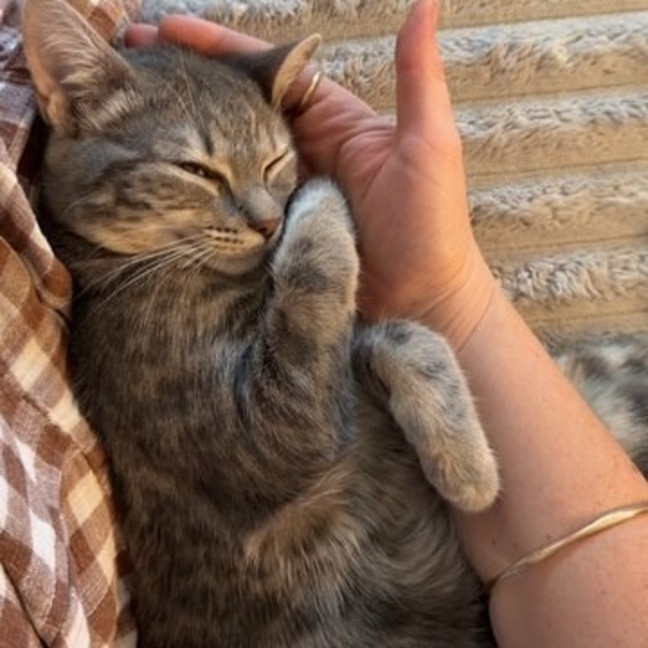 Photo of Hazel