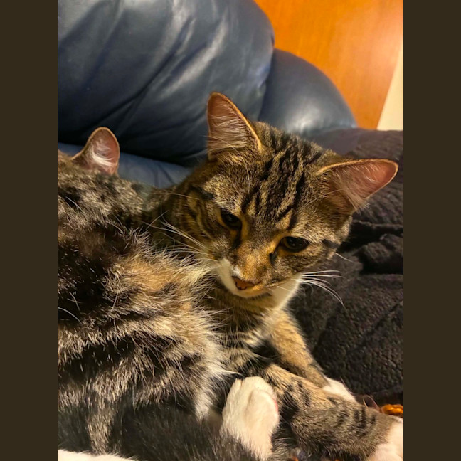 Photo of Lenny