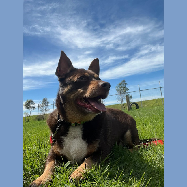 Photo of Mack