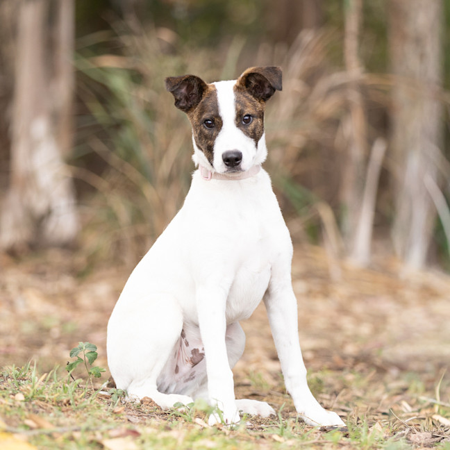 Photo of Zeus