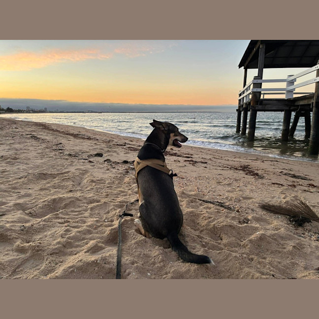 Photo of Max