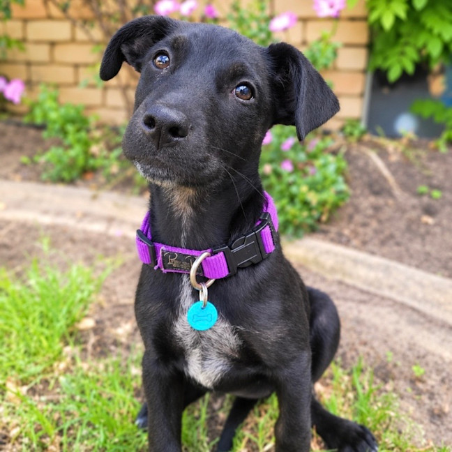 Photo of Winnie