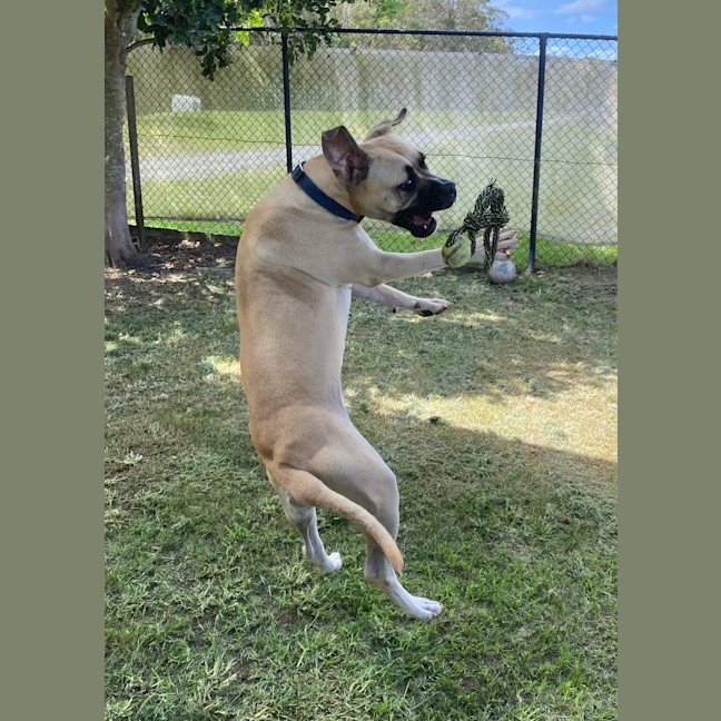 Photo of Phoebe