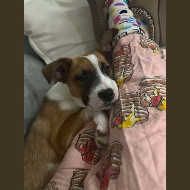 Photo of Spice