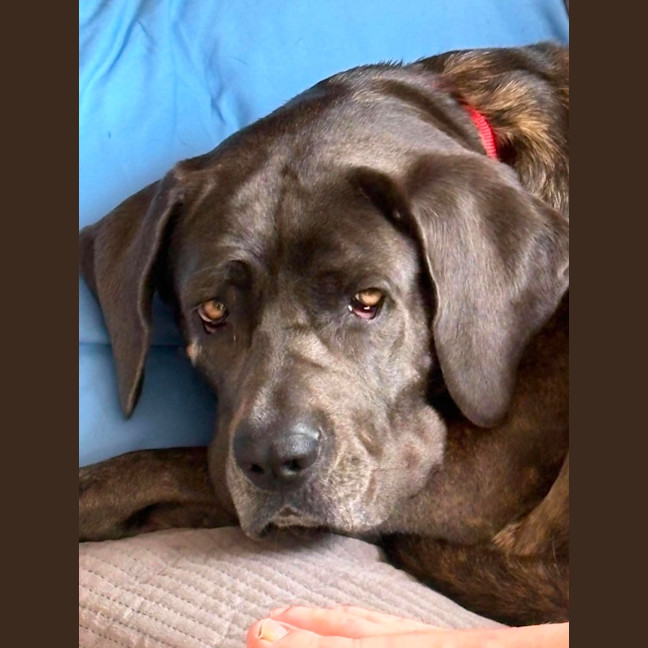 Photo of Polly