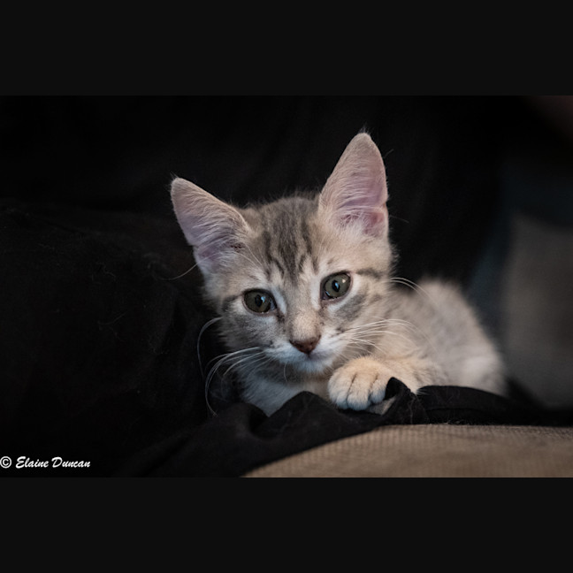 Photo of Peter