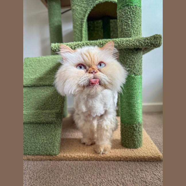 Photo of 🐾Little Bean🐾