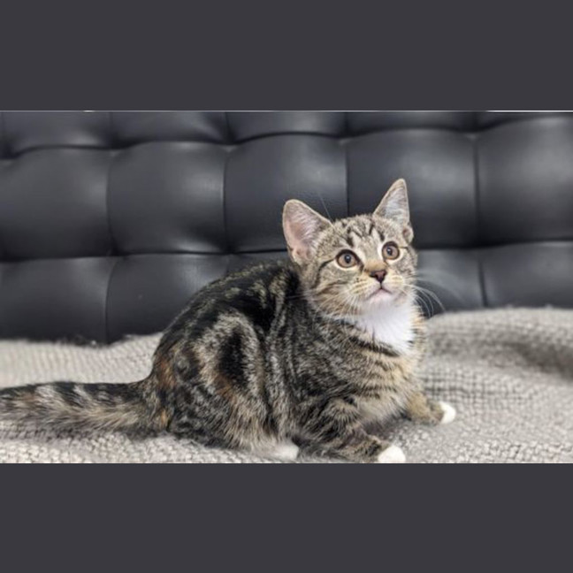 Photo of Lucy