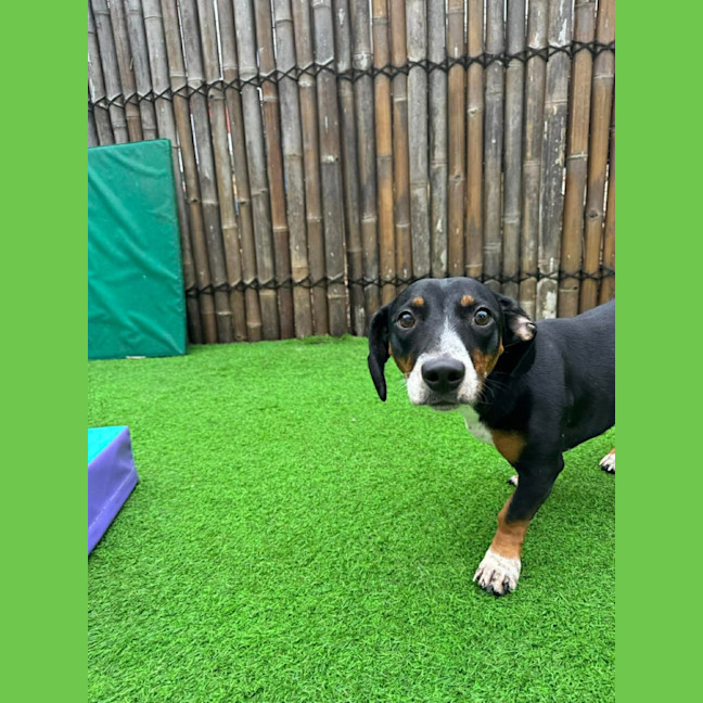 Photo of Sally