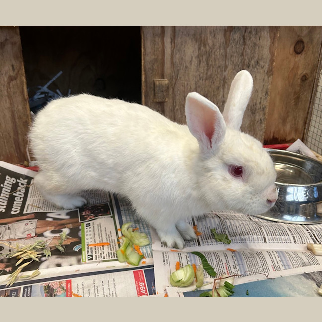 Photo of Sookie Lala Larry