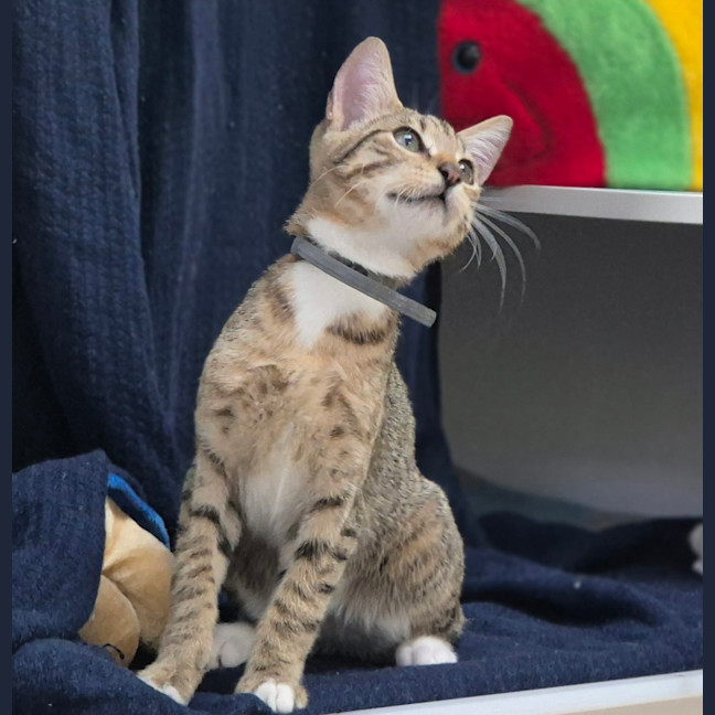 Photo of Molly (8980)