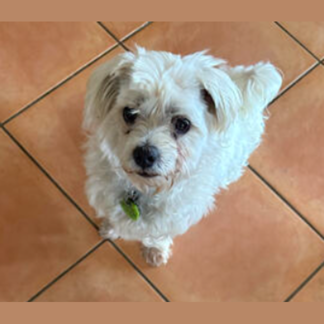 Photo of Teka