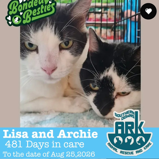 Photo of Archie & Lisa