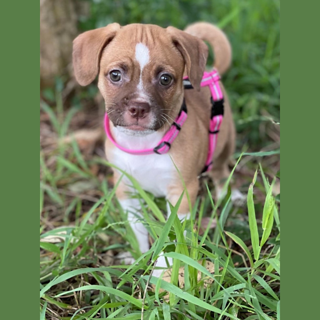 Photo of Kiki