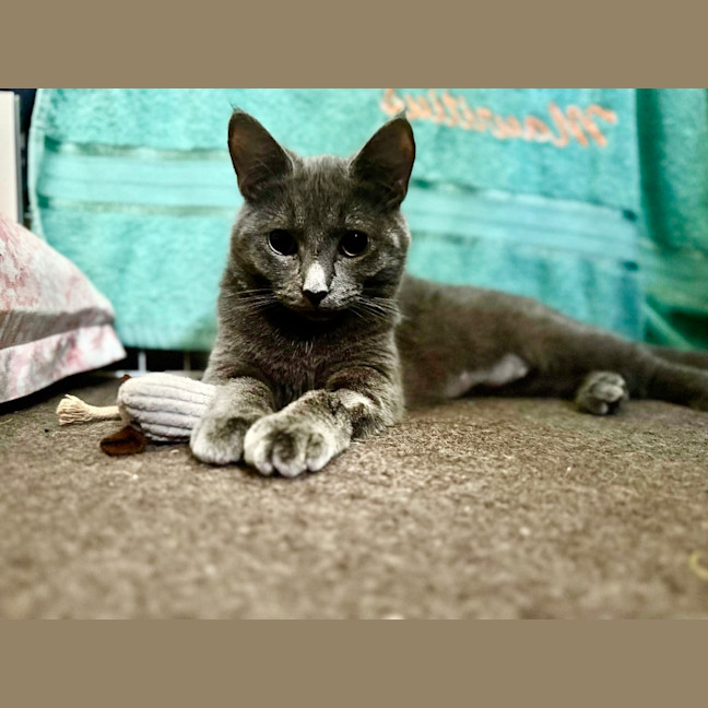 Photo of Valerie 