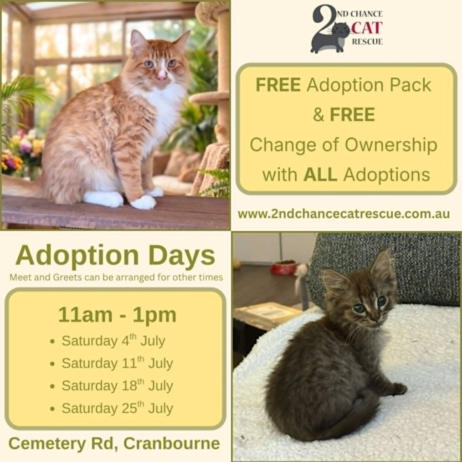 Photo of Zosia**2nd Chance Cat Rescue**
