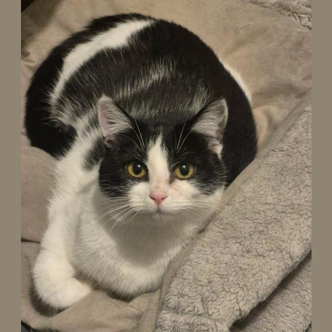 Photo of Luna