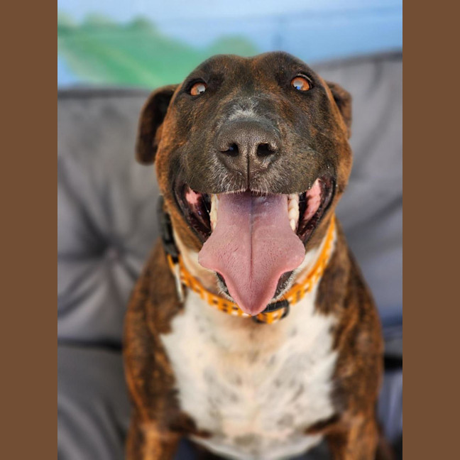 Photo of 🦆 Ducky 6839 🦆