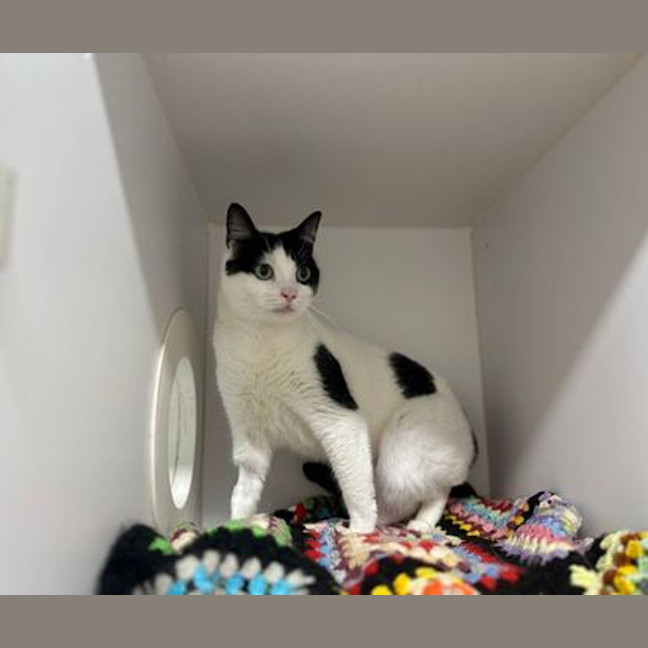 Photo of Maggie