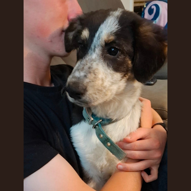 Photo of Polly