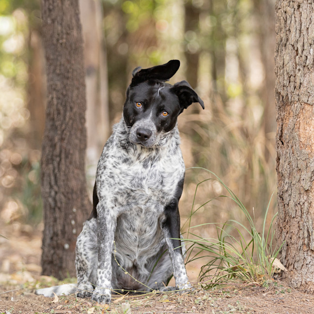 Photo of Molly