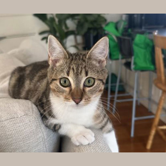 Photo of Evie