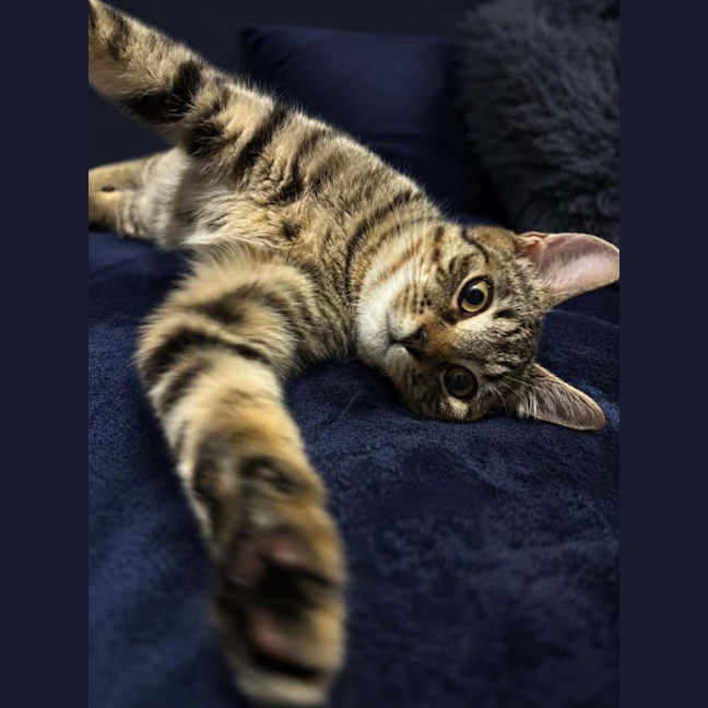 Photo of Hunter