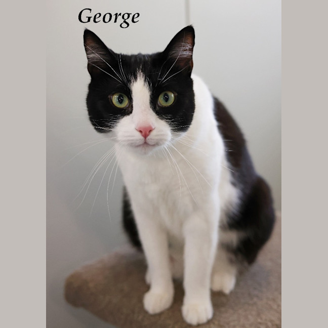Photo of George