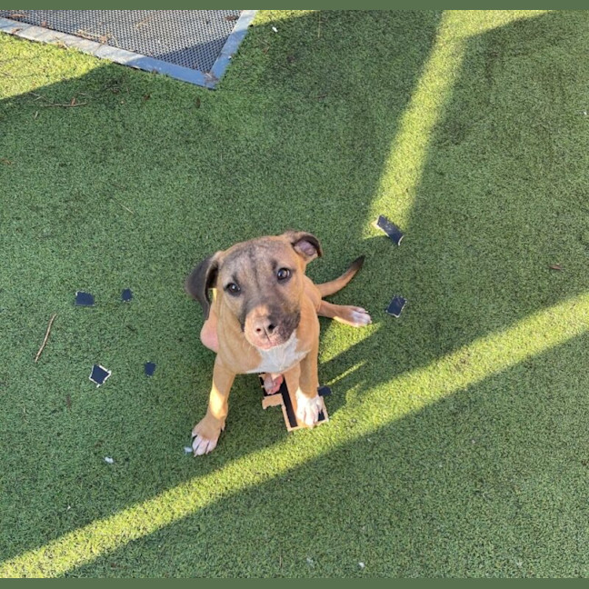 Photo of Deacon