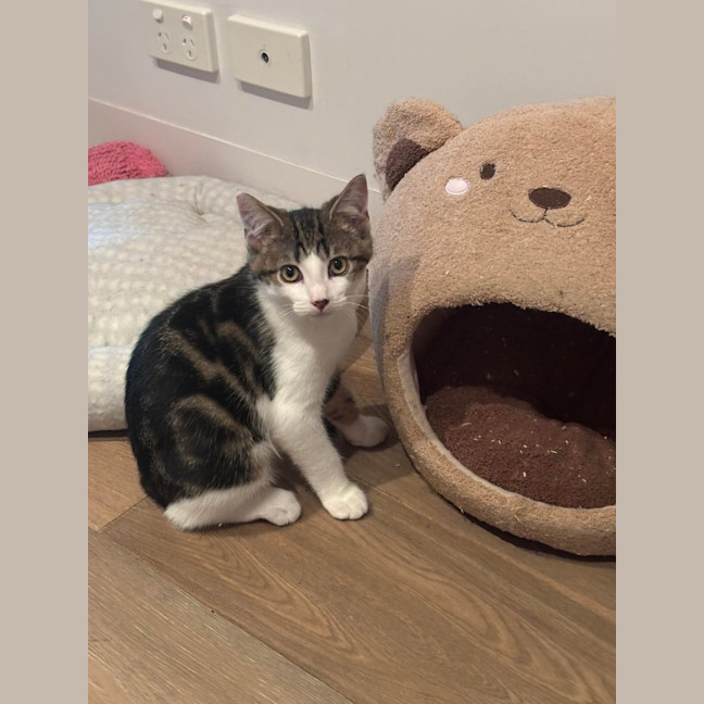 Photo of Rune 