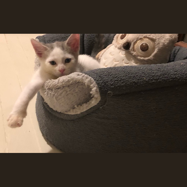 Photo of Lulu