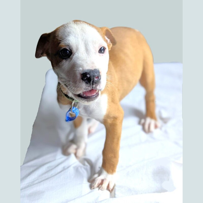 Photo of Maggie