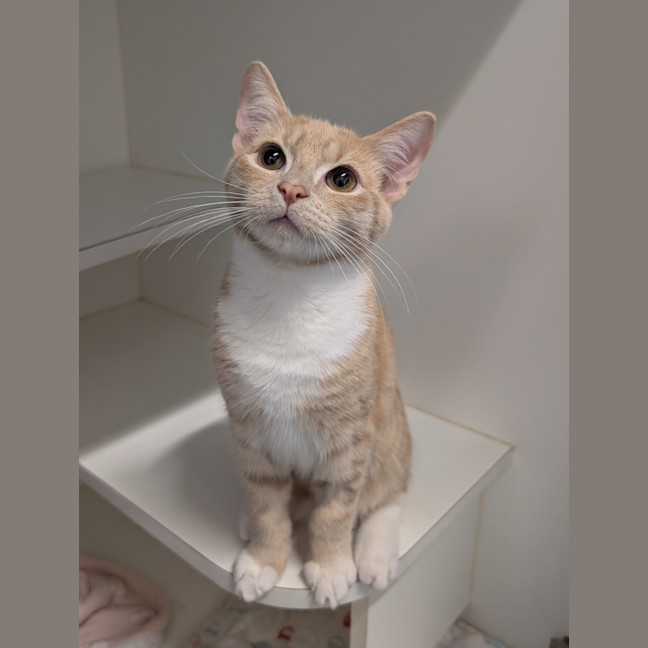 Photo of Frodo